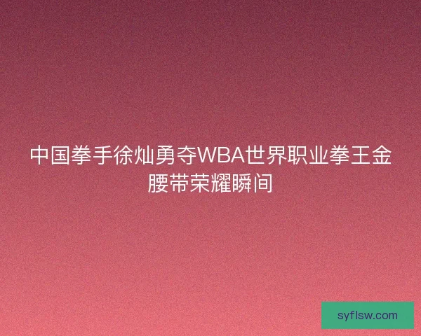 中国拳手徐灿勇夺WBA世界职业拳王金腰带荣耀瞬间