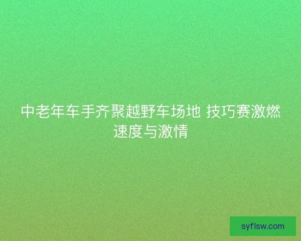 中老年车手齐聚越野车场地 技巧赛激燃速度与激情