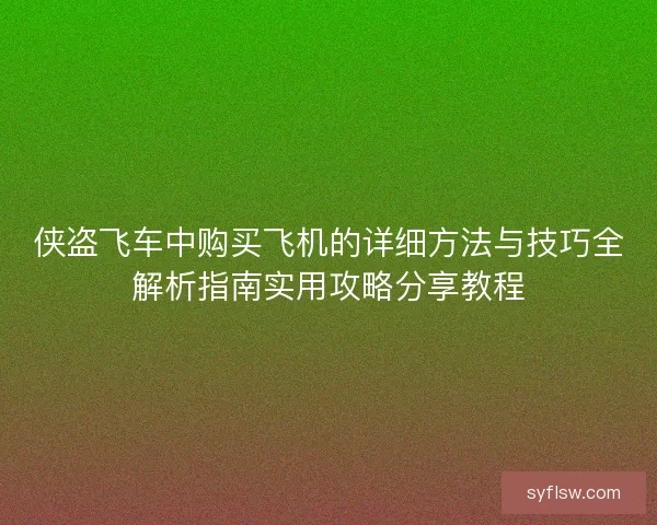 侠盗飞车中购买飞机的详细方法与技巧全解析指南实用攻略分享教程